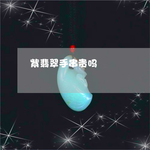 紫翡翠手串贵吗/2023080565736