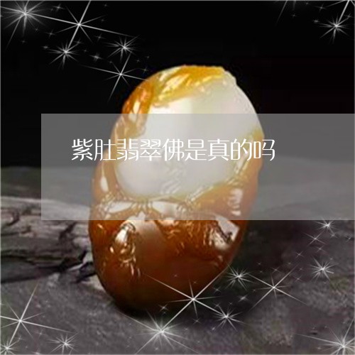 紫肚翡翠佛是真的吗/2023092214808