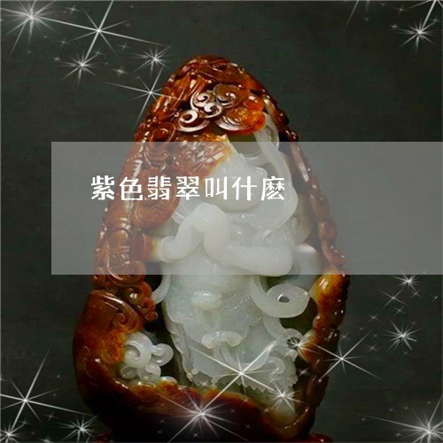 紫色翡翠叫什麽/2023051882917