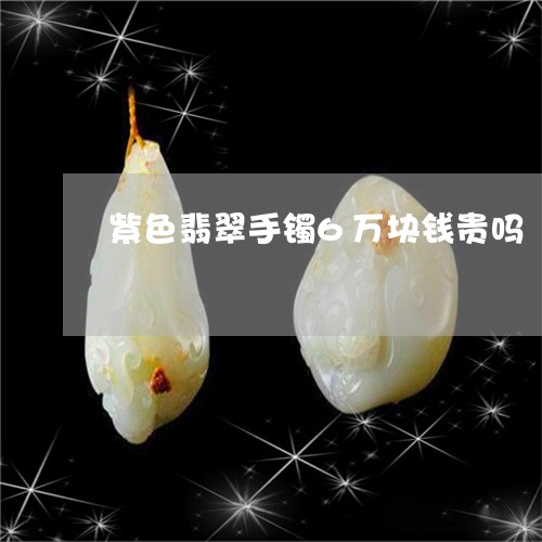 紫色翡翠手镯6万块钱贵吗/2023101759226