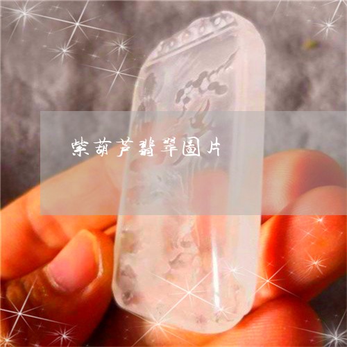 紫葫芦翡翠图片/2023051877814