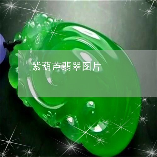 紫葫芦翡翠图片/2023051893409