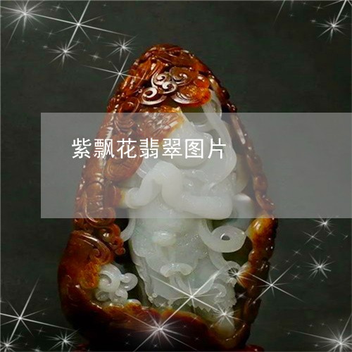 紫飘花翡翠图片/2023051876839