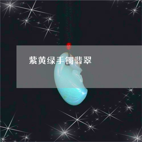 紫黄绿手镯翡翠/2023051883663