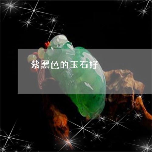 紫黑色的玉石好/2023051894193