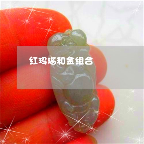 红玛瑙和金组合/2023051823471