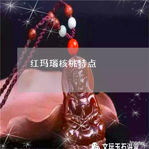 红玛瑙核桃特点/2023051847573