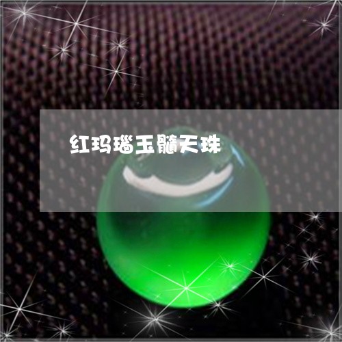 红玛瑙玉髓天珠/2023051828263