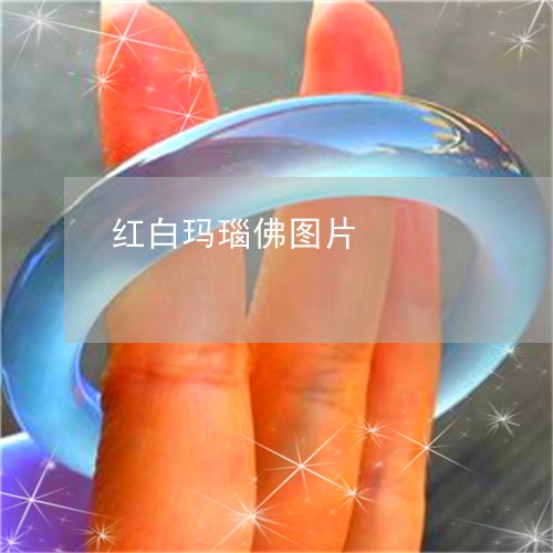 红白玛瑙佛图片/2023051802802