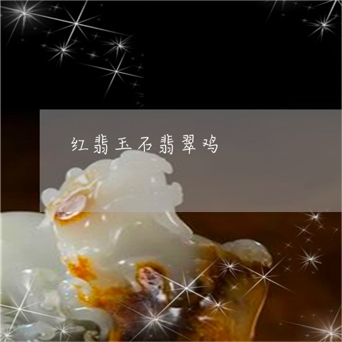 红翡玉石翡翠鸡/2023110780371