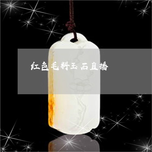 红色毛料玉石直播/2023110194117