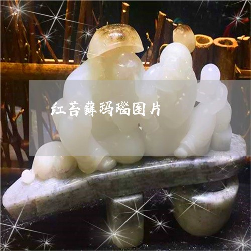 红苔藓玛瑙图片/2023051856195