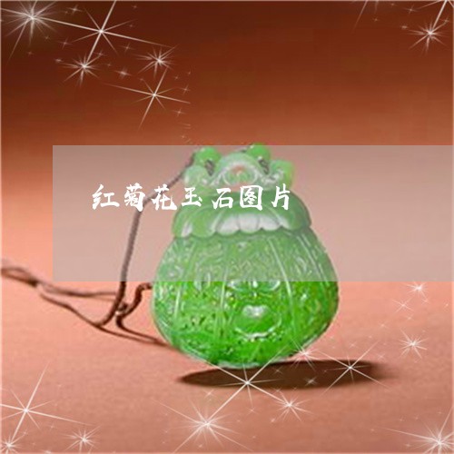 红菊花玉石图片/2023051899659