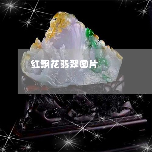 红飘花翡翠图片/2023051841596