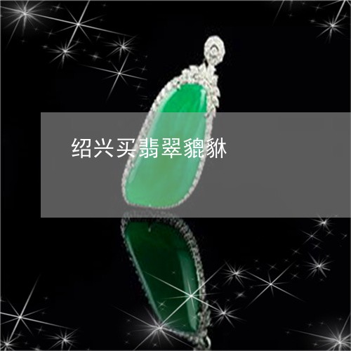 绍兴买翡翠貔貅/2023051827133