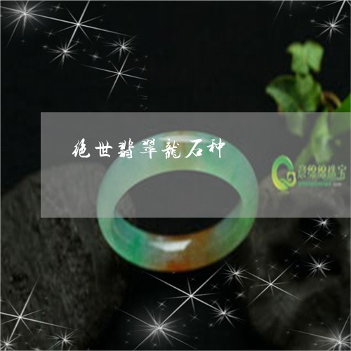 绝世翡翠龙石种/2023051831811