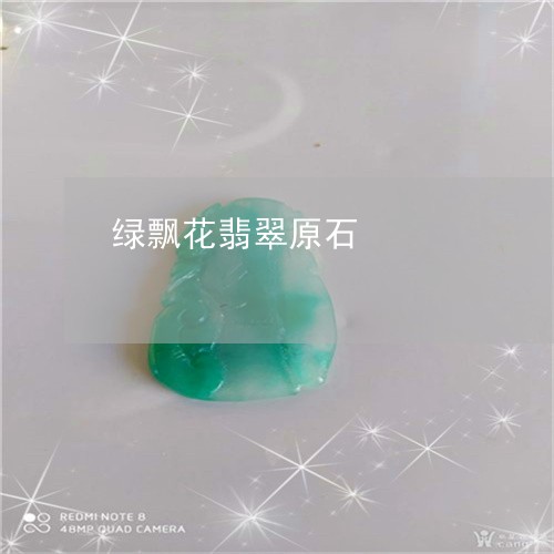 绿飘花翡翠原石/2023051817001