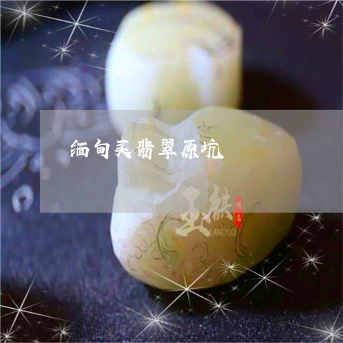 缅甸买翡翠原坑/2023101803091