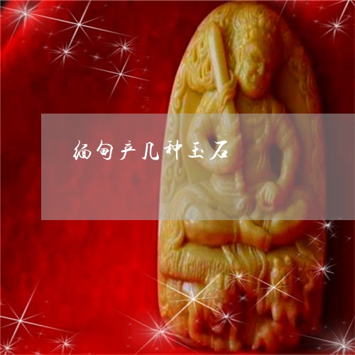 缅甸产几种玉石/2023051826989