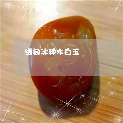 缅甸冰种水白玉/2023051809965