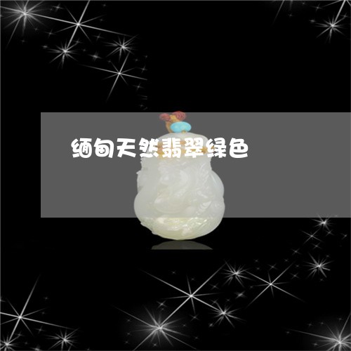 缅甸天然翡翠绿色/2023103109144