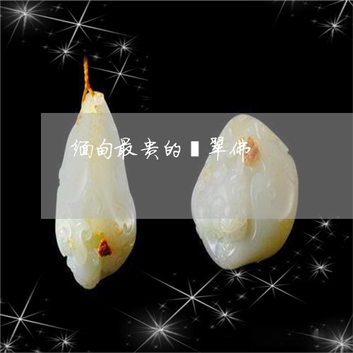 缅甸最贵的翡翠佛/2023051843041