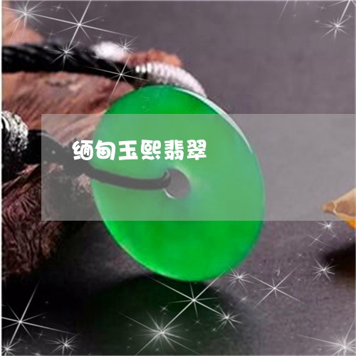 缅甸玉熙翡翠/2023110748552