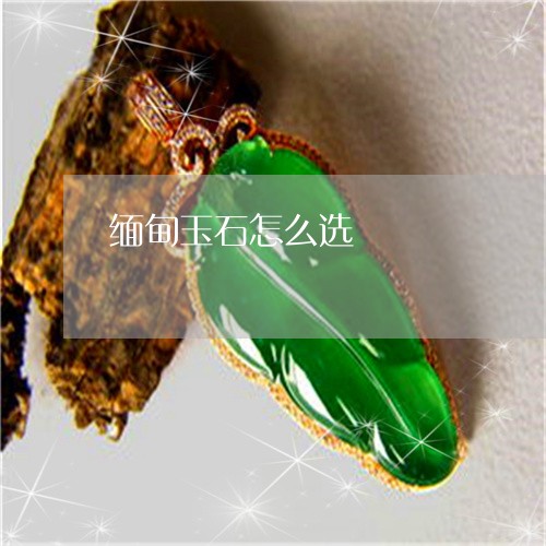 缅甸玉石怎么选/2023051841527