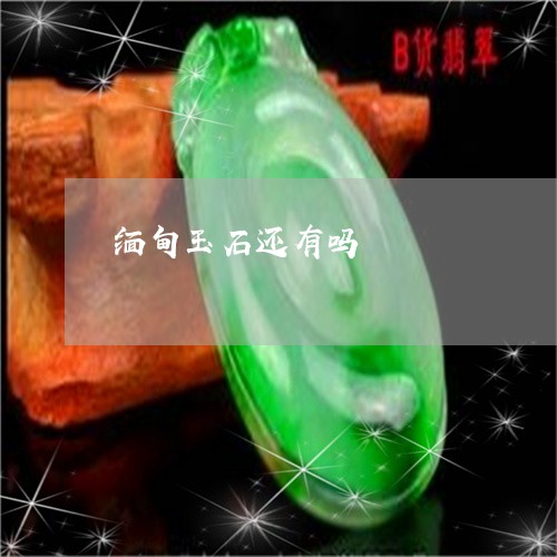 缅甸玉石还有吗/2023051835051