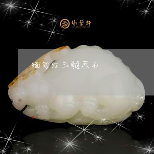 缅甸红玉髓原石/2023051869477