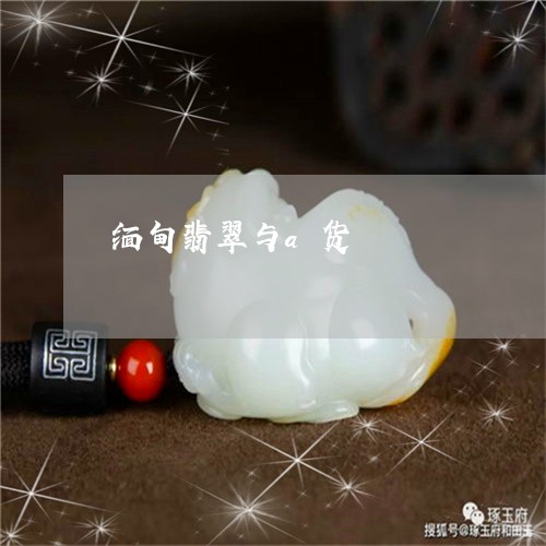 缅甸翡翠与a货/2023051882264