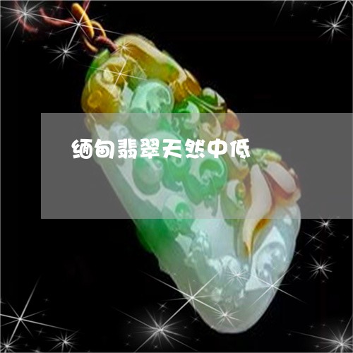 缅甸翡翠天然中低/2023092254316