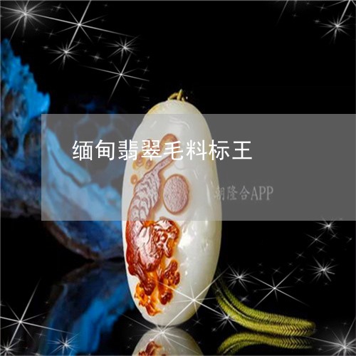 缅甸翡翠毛料标王/2023092318189