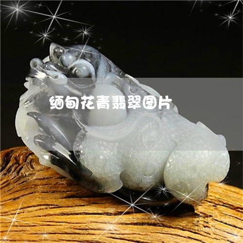 缅甸花青翡翠图片/2023092305334