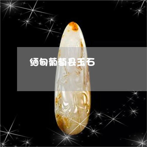 缅甸葡萄县玉石/2023051712395