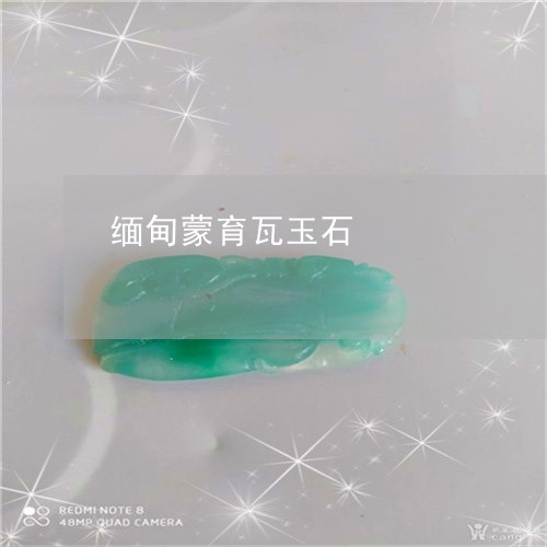 缅甸蒙育瓦玉石/2023051790312