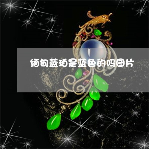 缅甸蓝珀是蓝色的吗图片/2023100685824