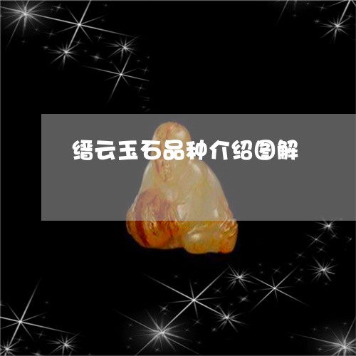 缙云玉石品种介绍图解/2023082464285