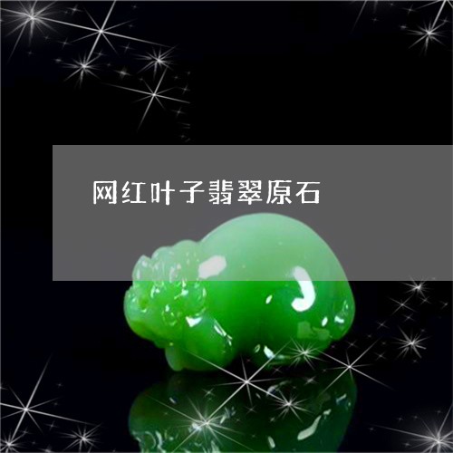 网红叶子翡翠原石/2023092327925