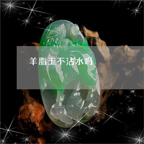 羊脂玉不沾水吗/2023051828342