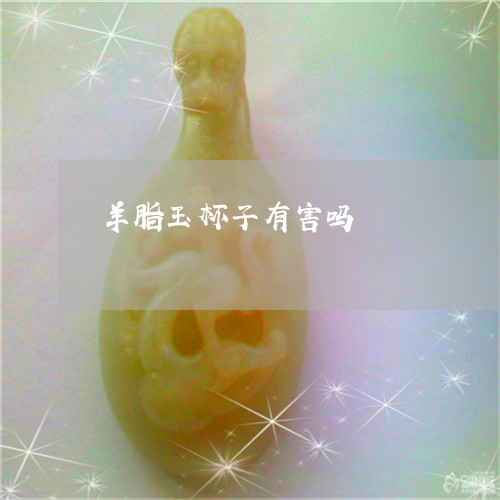 羊脂玉杯子有害吗/2023092360681