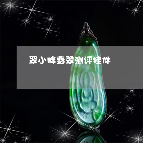 翠小胖翡翠测评挂件/2023110194367