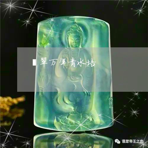 翡翠万年青水培/2023051701964