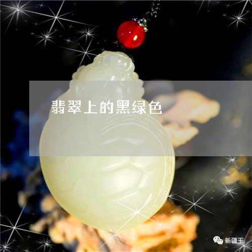 翡翠上的黑绿色/2023051740552