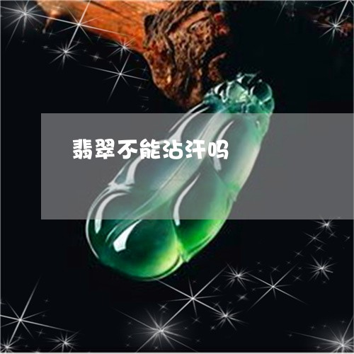 翡翠不能沾汗吗/2023051711973