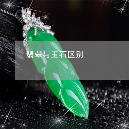 翡翠与玉石区别/2023051779840