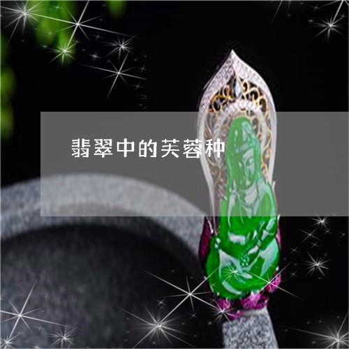 翡翠中的芙蓉种/2023051715538