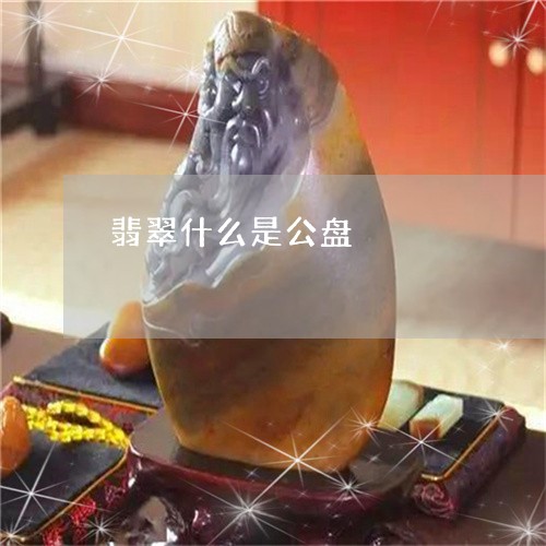 翡翠什么是公盘/2023051880742