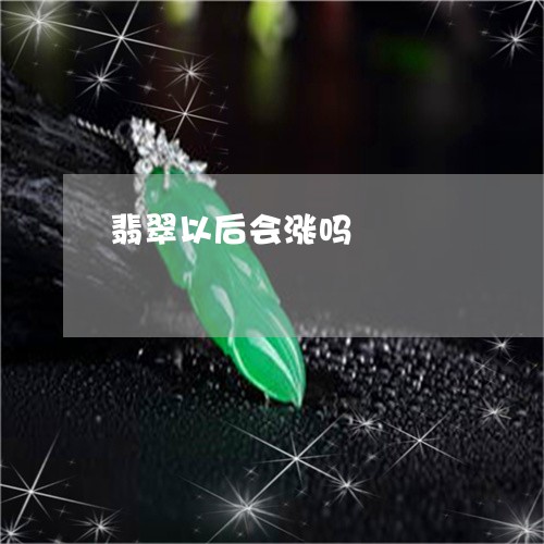 翡翠以后会涨吗/2023051880530