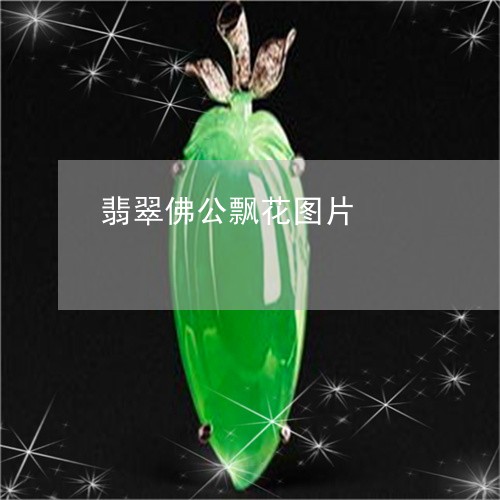 翡翠佛公飘花图片/2023092447763